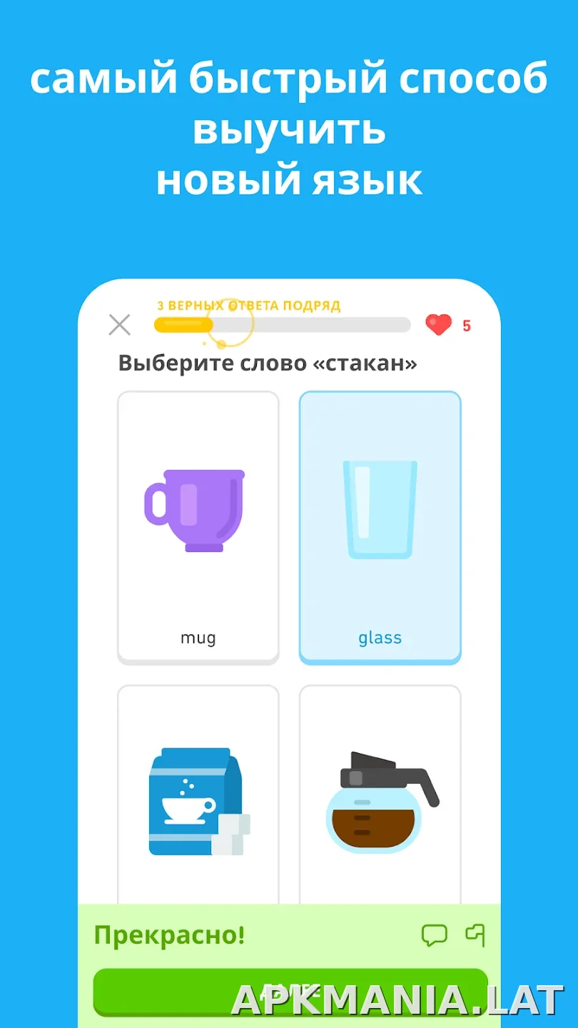 Дуолинго скриншот 5