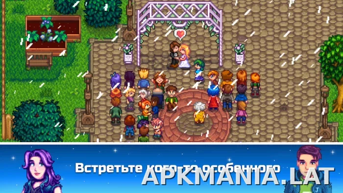 Stardew Valley скриншот 5