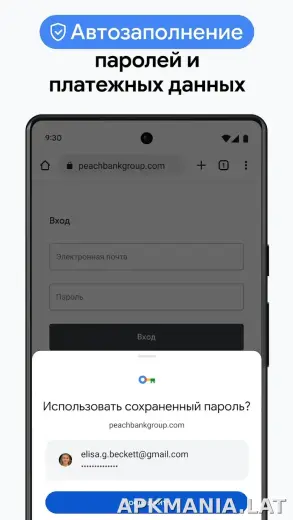 Google Chrome скриншот 6